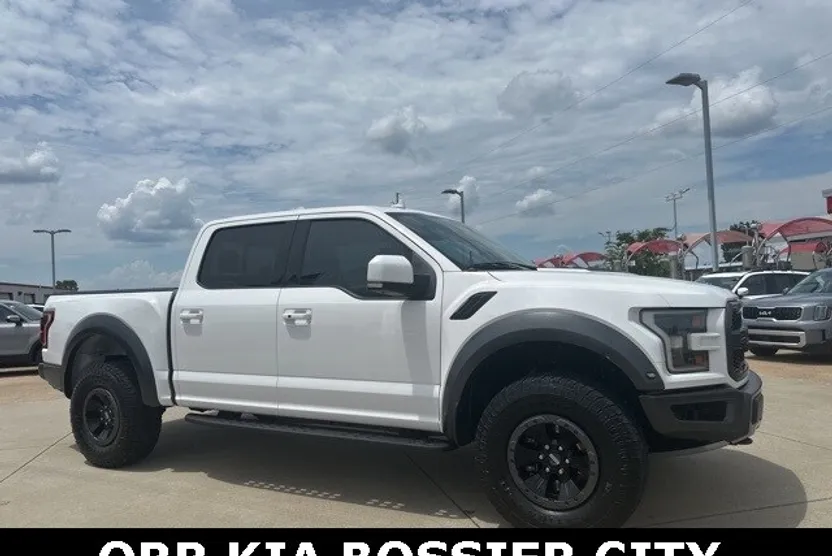 2019 Ford F-150 Raptor photo 1