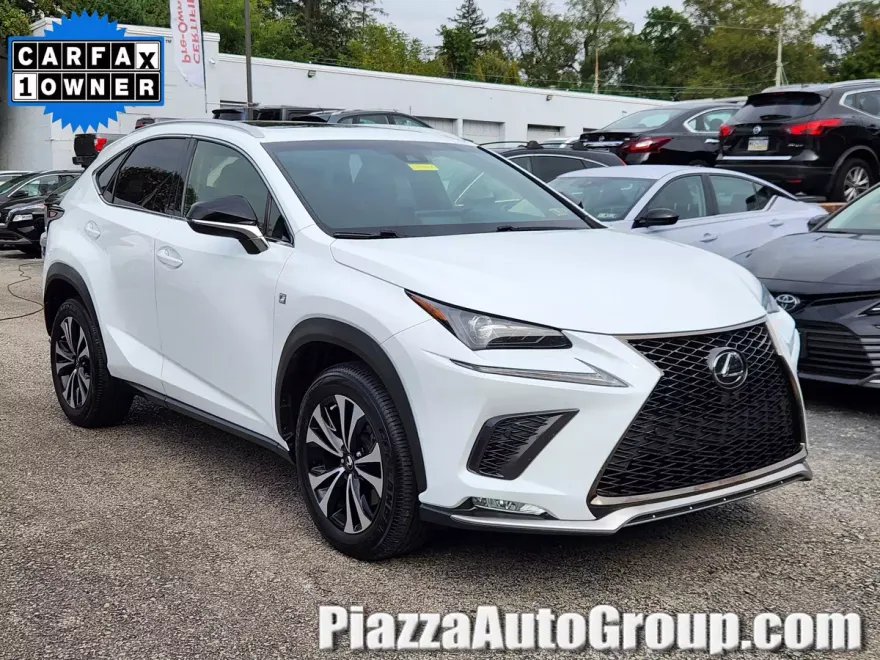 2019 Lexus NX 300 F SPORT photo 1