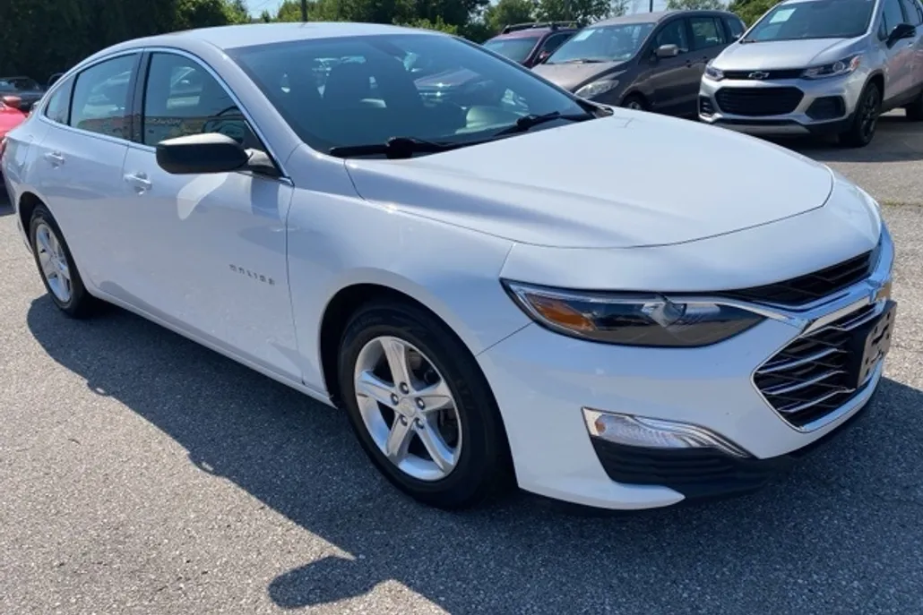 2019 Chevrolet Malibu photo 1