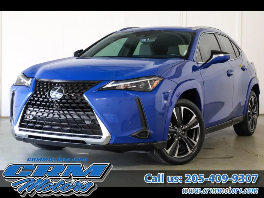 2024 Lexus UX 250h Premium photo 1
