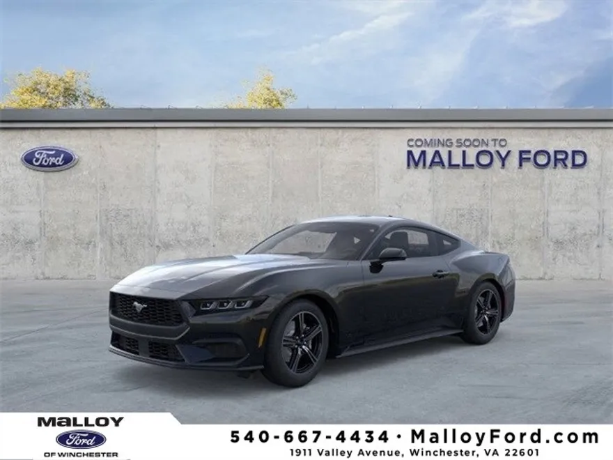 2025 Ford Mustang EcoBoost photo 1
