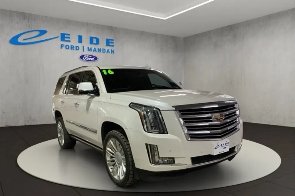 2016 Cadillac Escalade Platinum photo 1