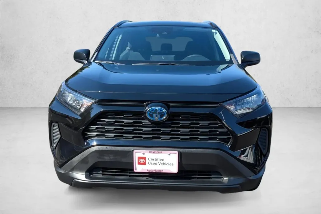 2019 Toyota RAV4 Hybrid LE photo 1