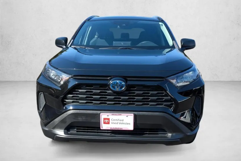 2019 Toyota RAV4 Hybrid LE photo 1