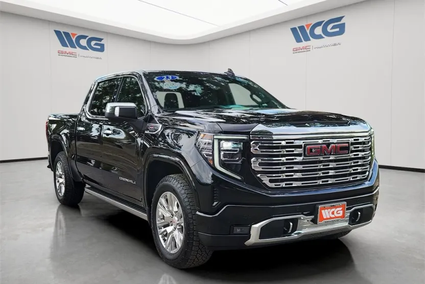 2023 Gmc Sierra 1500 Denali photo 1