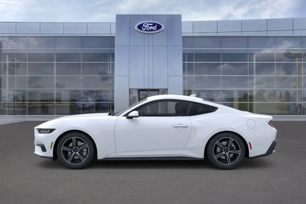 2025 Ford Mustang EcoBoost photo 1