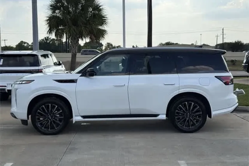 2026 Infiniti QX80 photo 1
