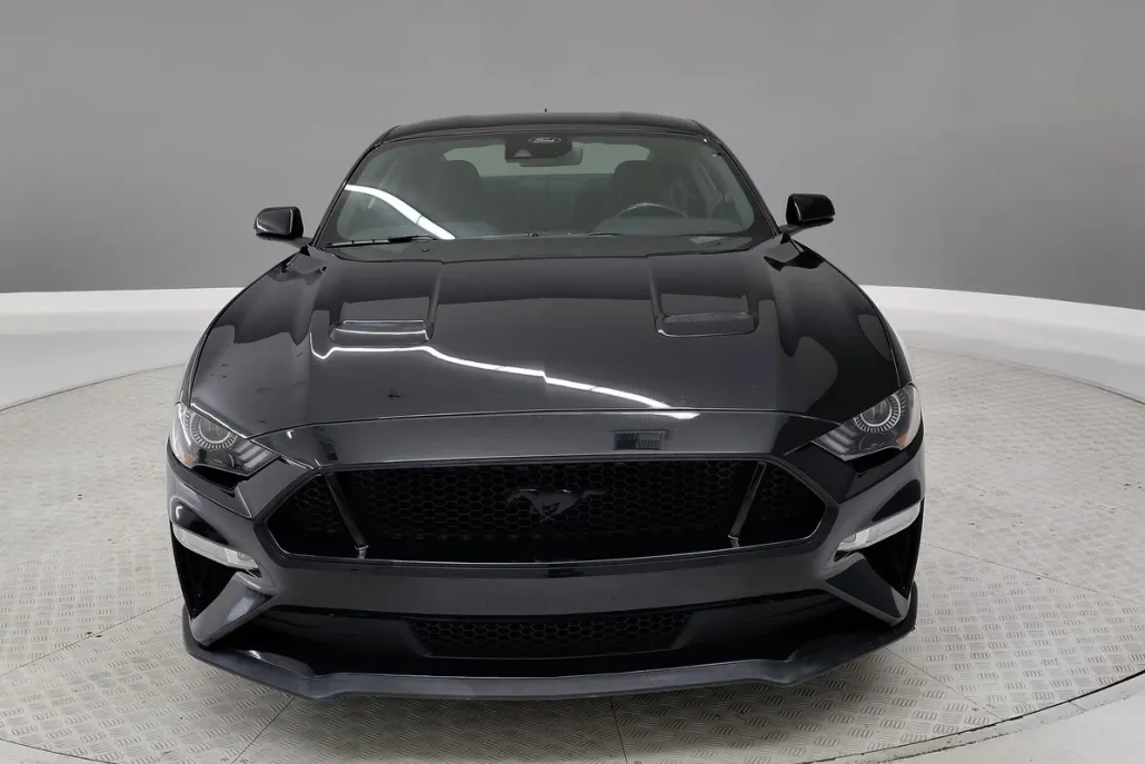 2021 Ford Mustang GT photo 1