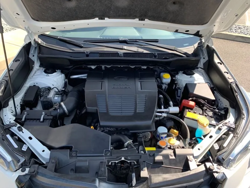 2024 Subaru Forester Premium Base photo 1