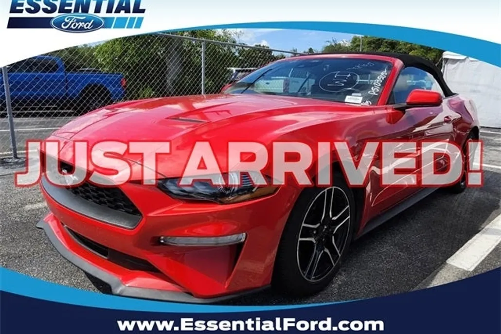 2023 Ford Mustang EcoBoost Premium photo 1