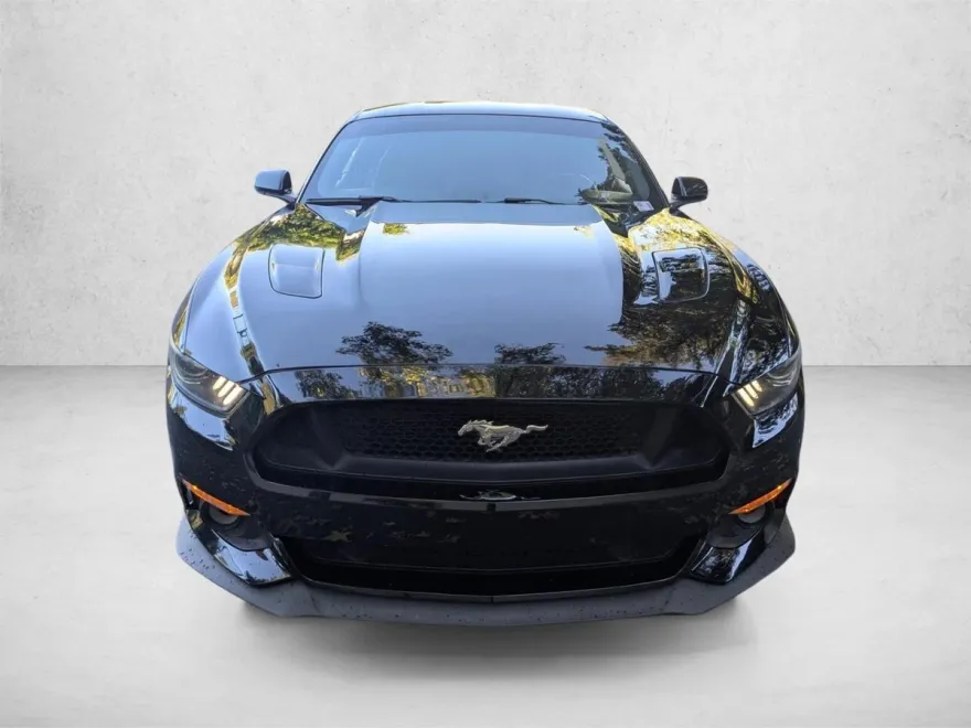 2015 Ford Mustang GT Premium photo 1