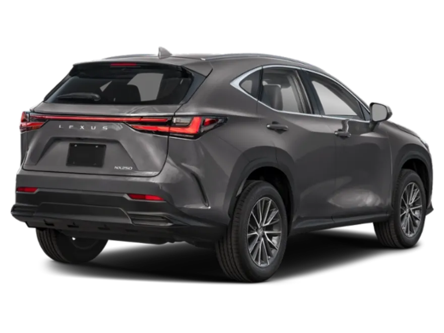 2024 Lexus NX 250 photo 1