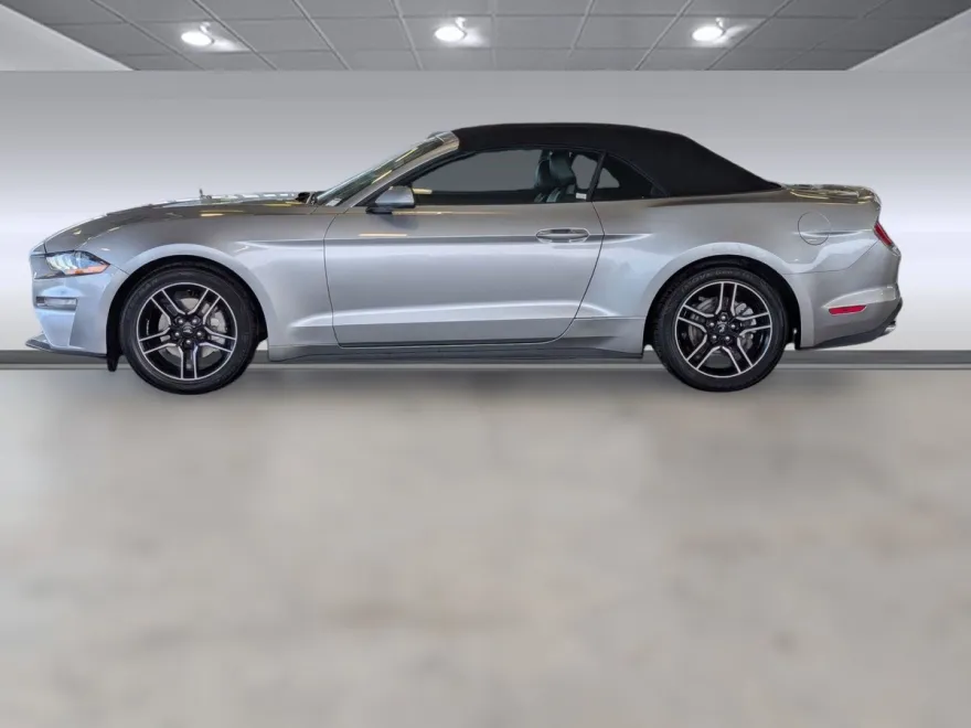 2022 Ford Mustang EcoBoost Premium Convertible photo 1