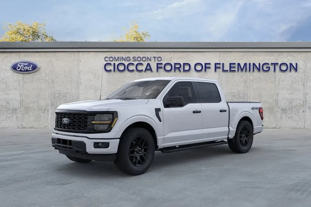 2025 Ford F-150 STX photo 1