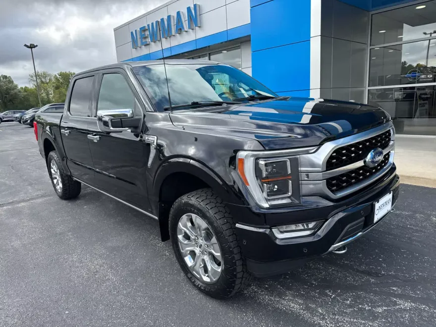 2021 Ford F-150 Platinum photo 1