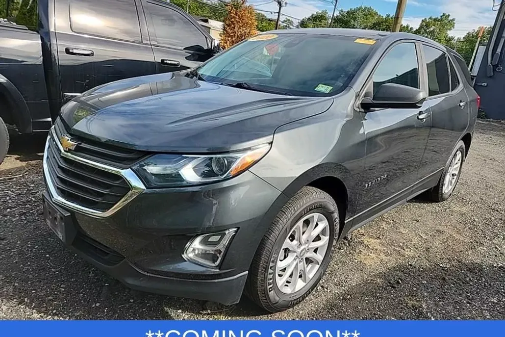 2020 Chevrolet Equinox LS photo 1
