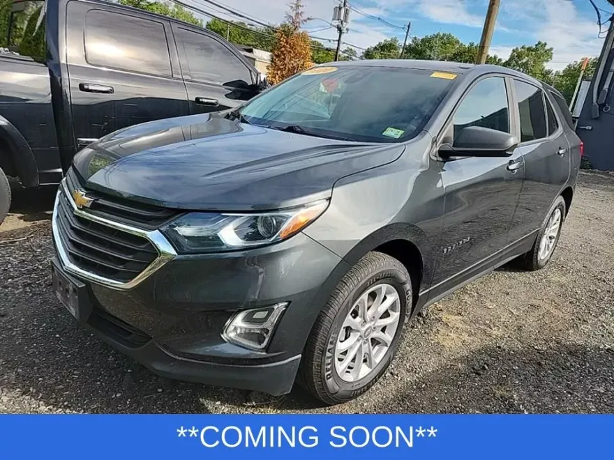 2020 Chevrolet Equinox LS photo 1