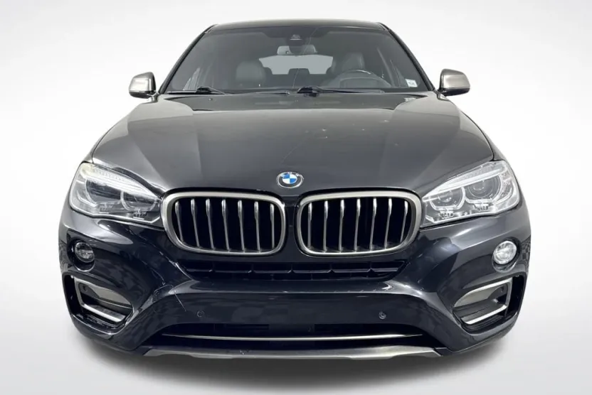 2018 Bmw X6 xDrive35i photo 1