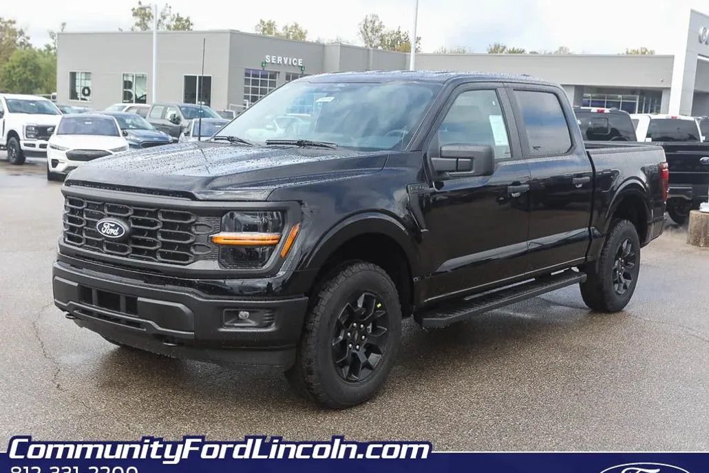 2025 Ford F-150 STX photo 1