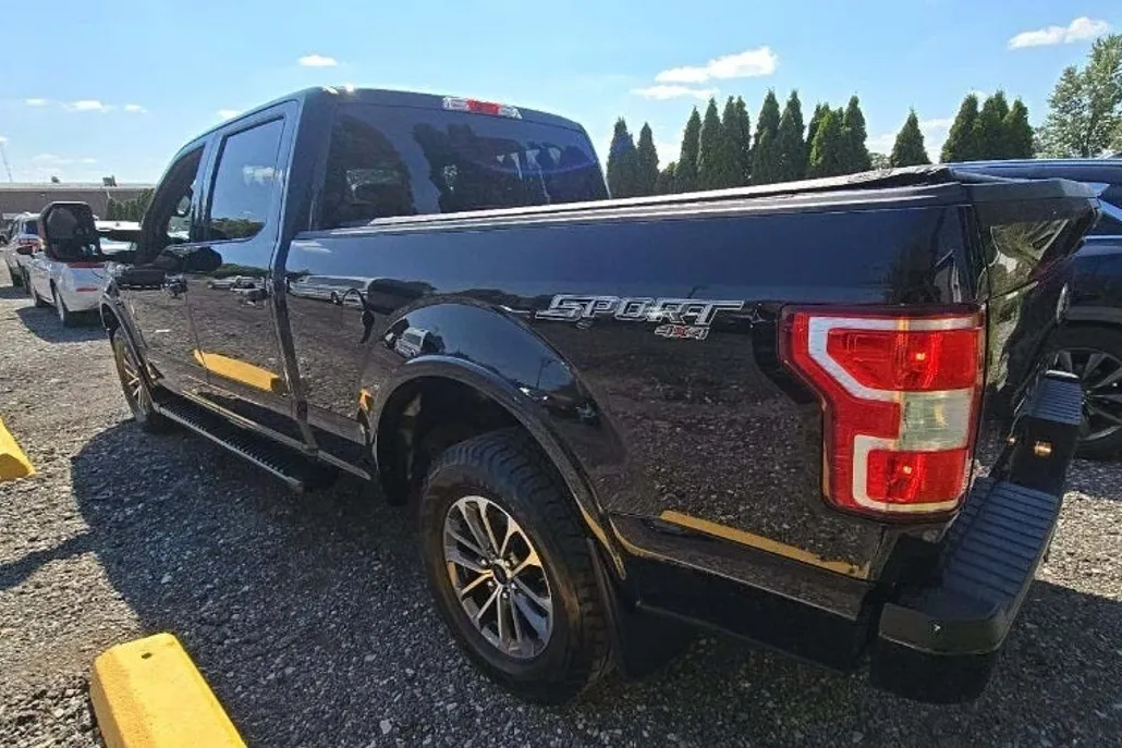 2019 Ford F-150 XLT photo 1