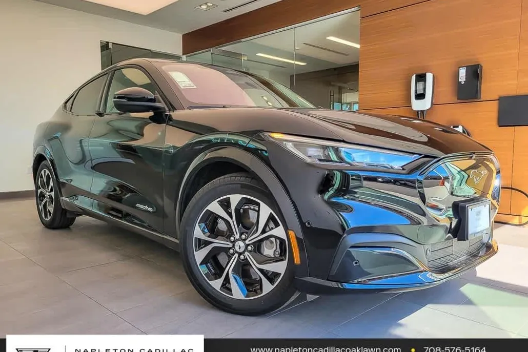 2021 Ford Mustang Mach-E Premium photo 1