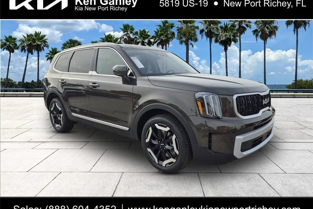 2025 Kia Telluride EX photo 1