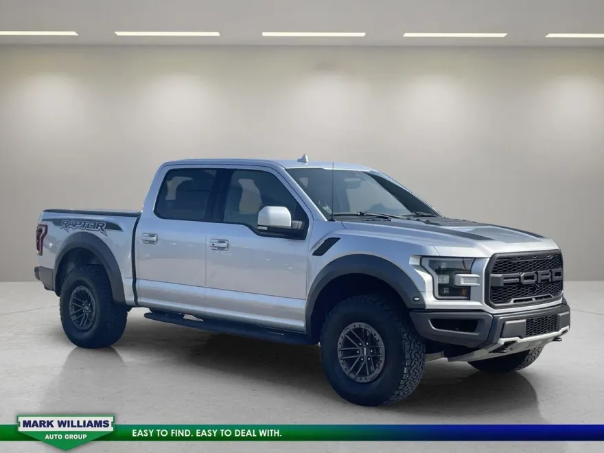 2019 Ford F-150 Raptor photo 1