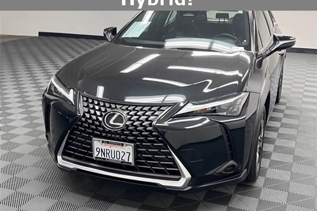 2025 Lexus UX photo 1