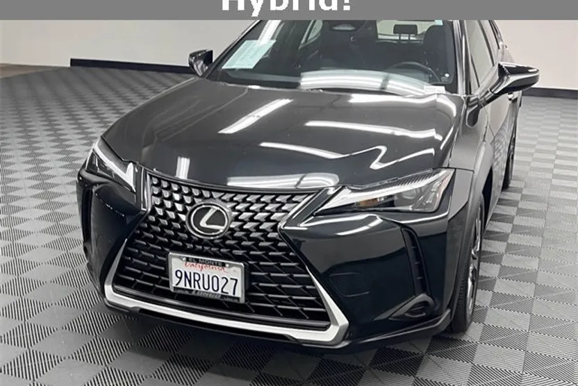 2025 Lexus UX photo 1