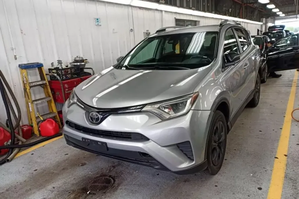 2017 Toyota RAV4 LE Sport photo 1