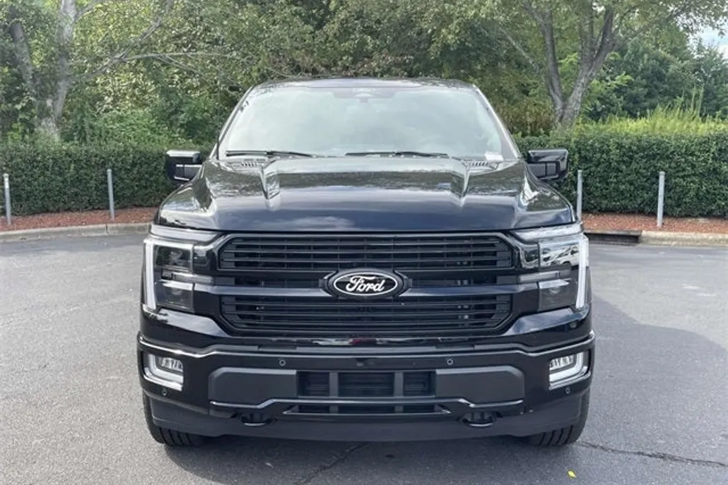 2025 Ford F-150 Platinum photo 1