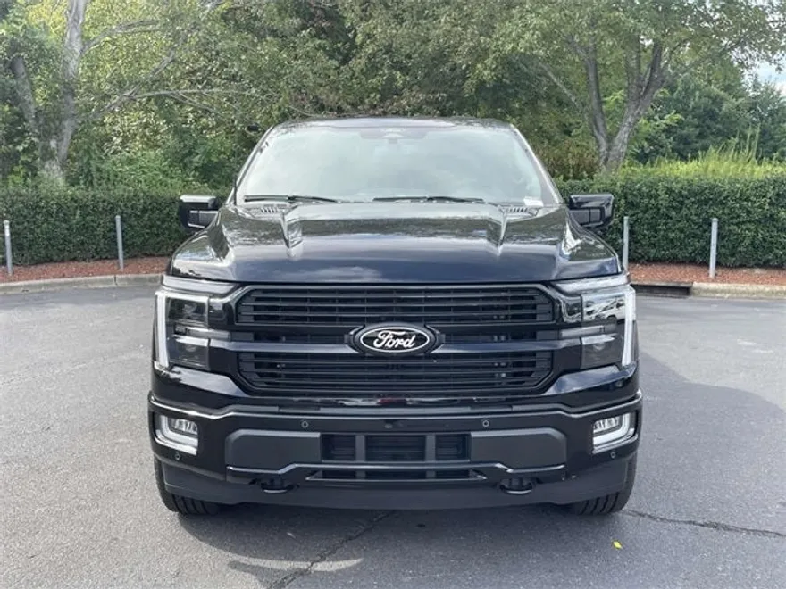 2025 Ford F-150 Platinum photo 1