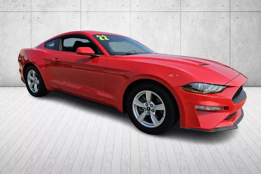 2021 Ford Mustang Mach 1 photo 1