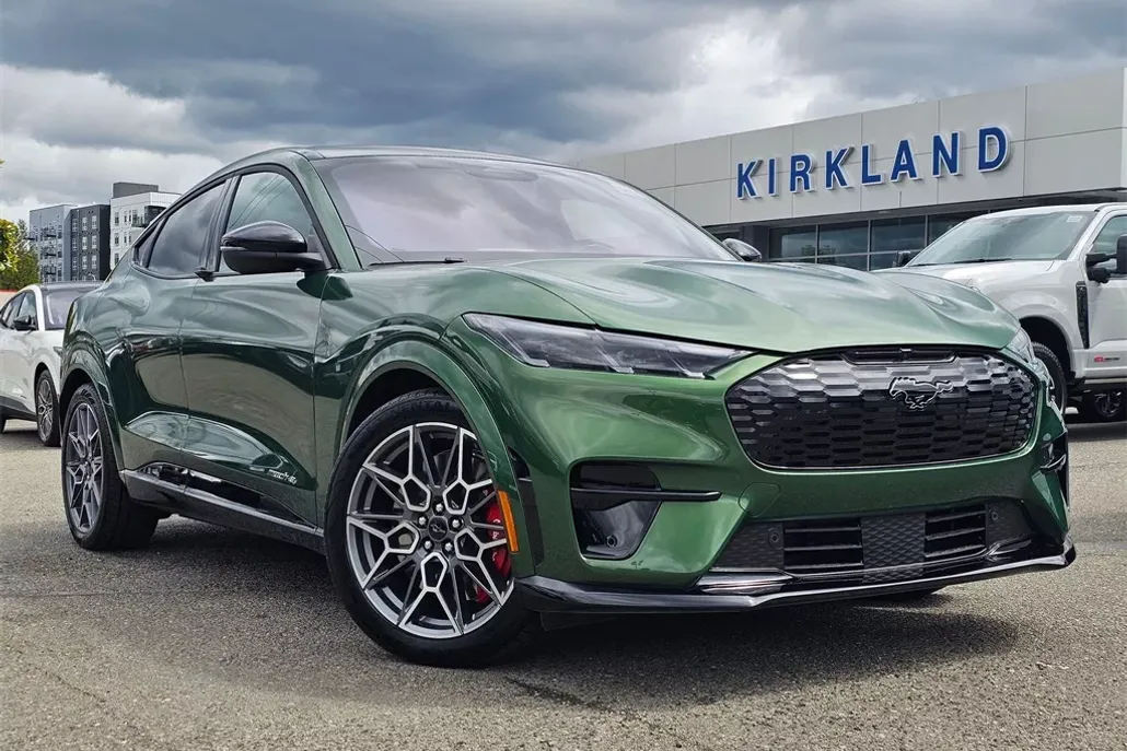 2025 Ford Mustang Mach-E GT photo 1