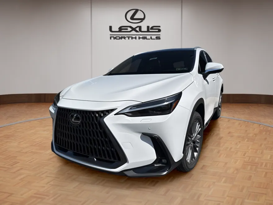 2026 Lexus NX Luxury photo 1