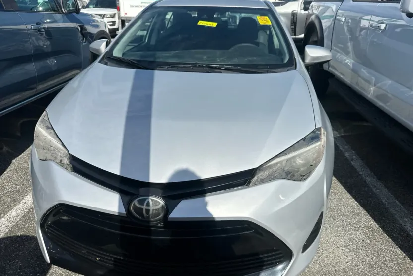 2019 Toyota Corolla LE photo 1