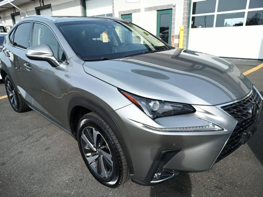 2019 Lexus NX 300 Luxury photo 1