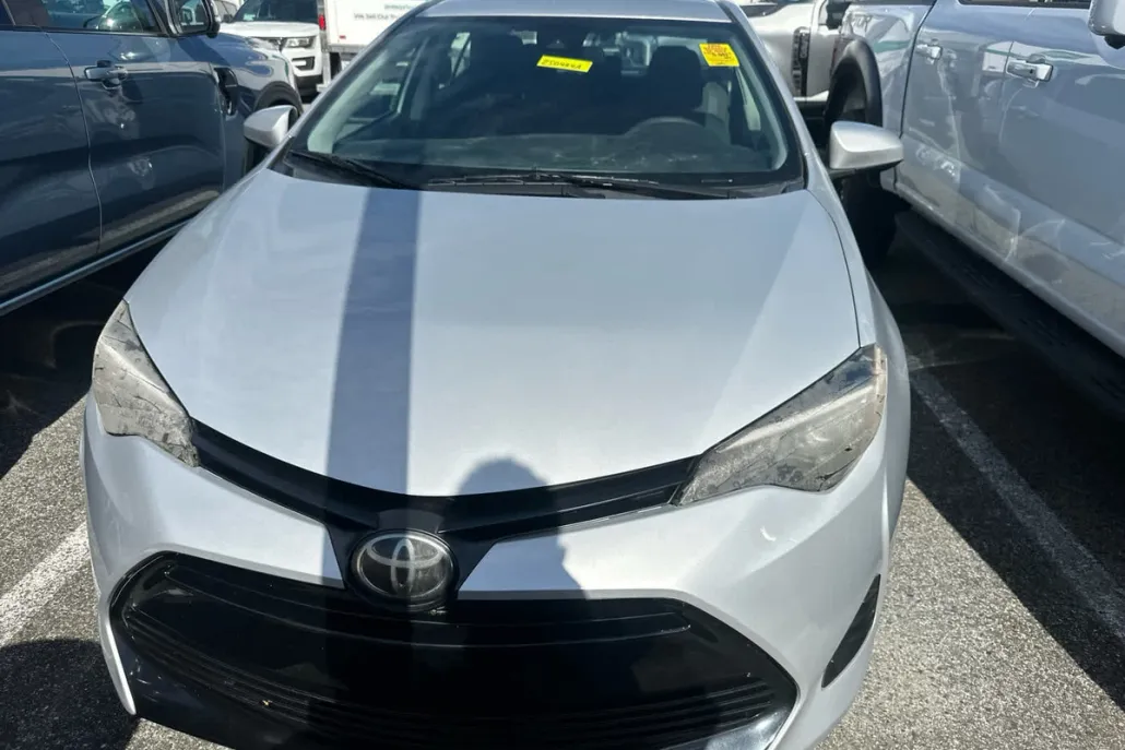 2019 Toyota Corolla LE photo 1