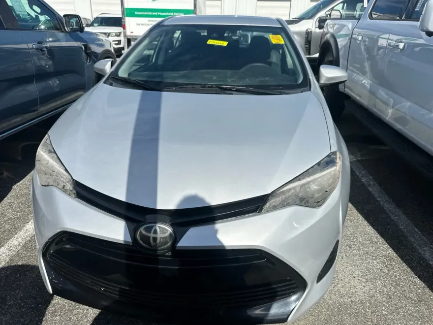 2019 Toyota Corolla LE photo 1