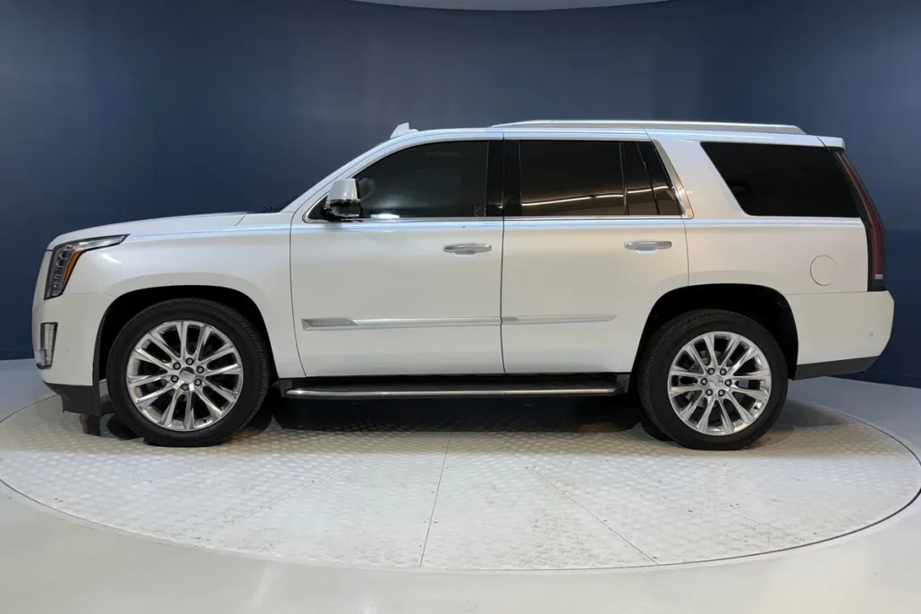2019 Cadillac Escalade Luxury photo 1