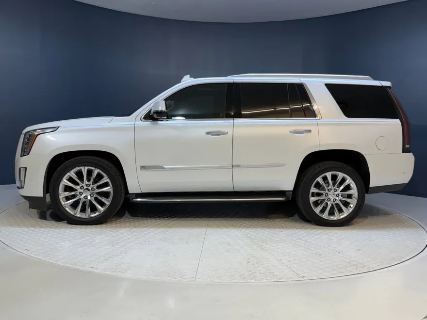 2019 Cadillac Escalade Luxury photo 1