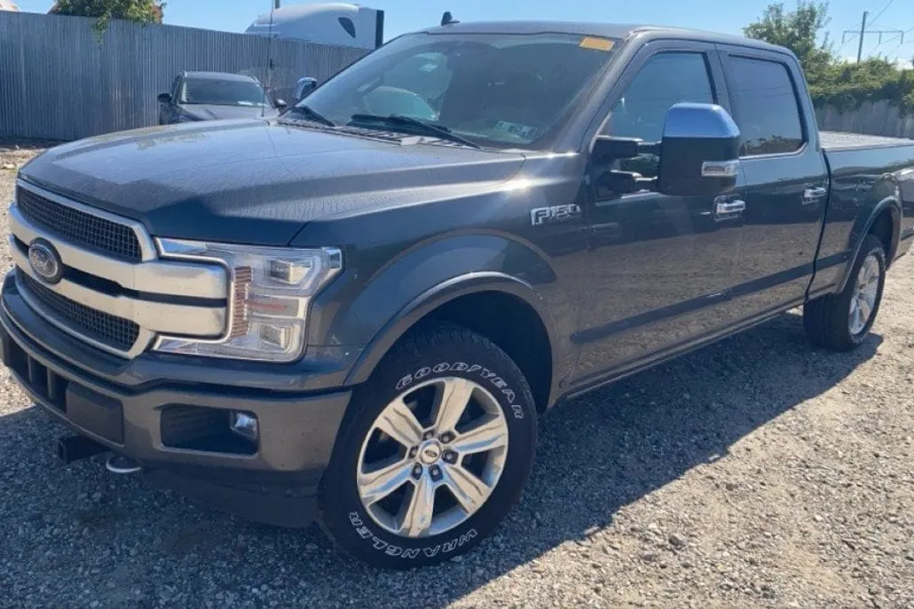 2018 Ford F-150 Platinum photo 1