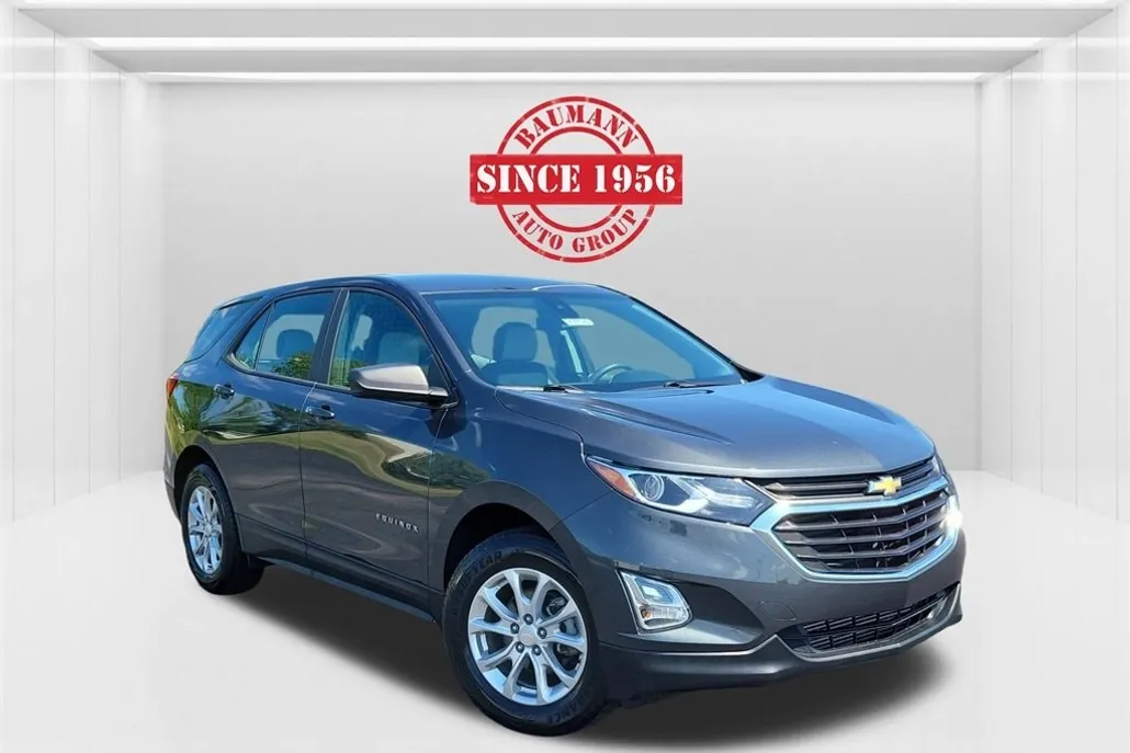 2021 Chevrolet Equinox LS photo 1