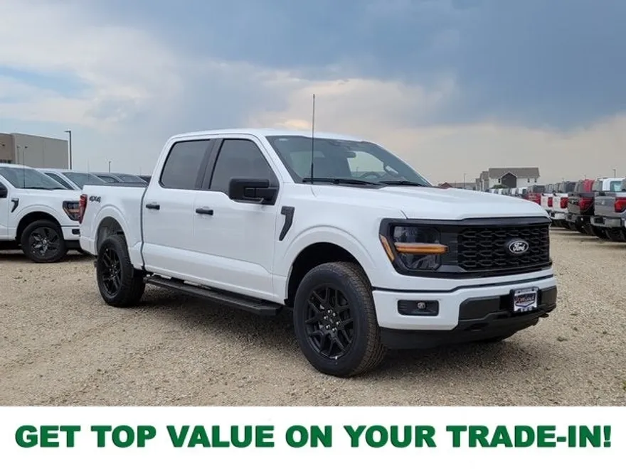 2025 Ford F-150 STX photo 1