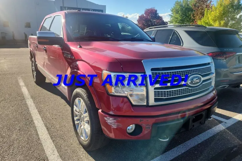 2010 Ford F-150 Platinum photo 1