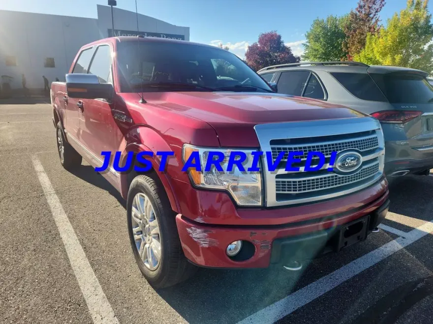 2010 Ford F-150 Platinum photo 1
