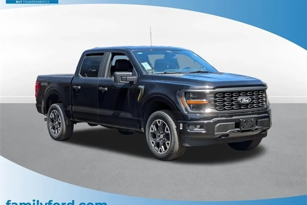 2025 Ford F-150 STX photo 1