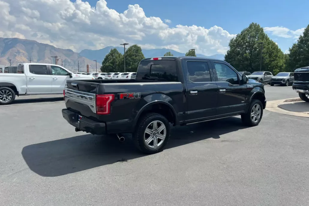 2015 Ford F-150 Platinum photo 1