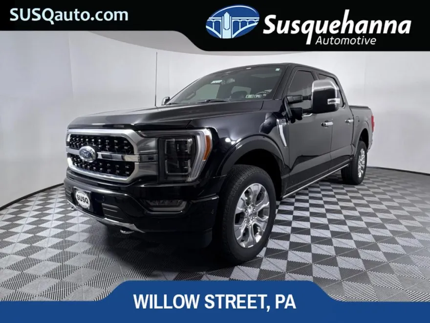 2022 Ford F-150 Platinum photo 1