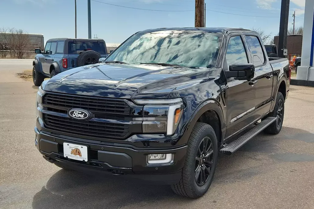 2025 Ford F-150 Platinum photo 1